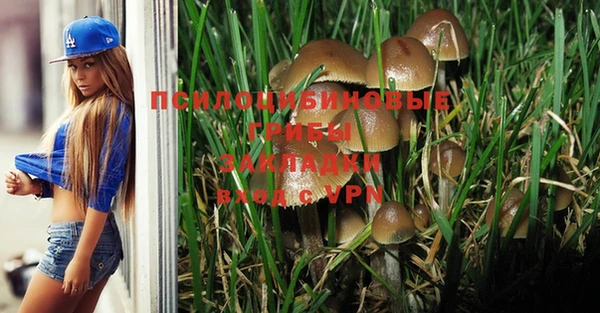 MESCALINE Лабытнанги