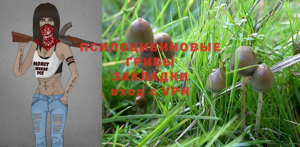 MDMA Лагань