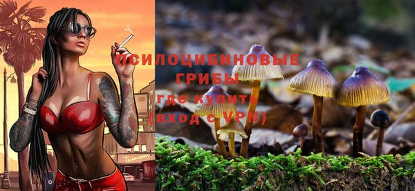 MESCALINE Лабытнанги