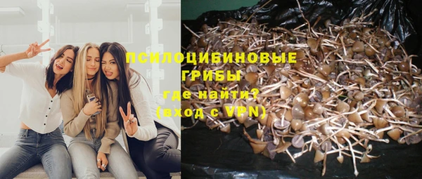 MESCALINE Лабытнанги
