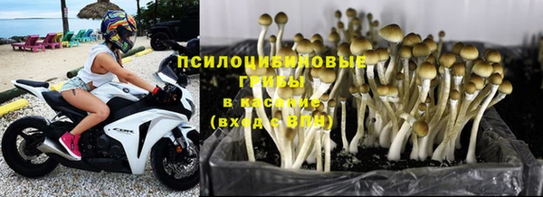 MESCALINE Лабытнанги
