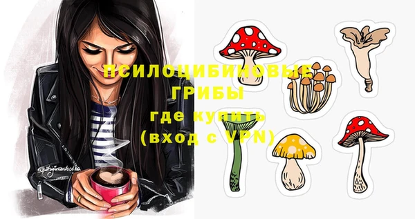 MESCALINE Лабытнанги