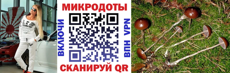 хочу   Лесной  kraken   Псилоцибиновые грибы прущие грибы 